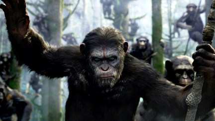 Caesar leads an army of apes in a forest in Dawn of the Planet of the Apes