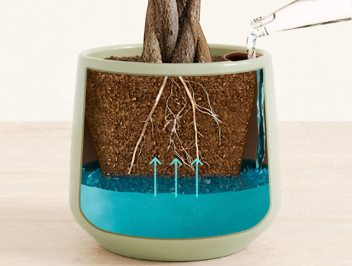 A close-up of how the Easy Plant self-watering plant system works