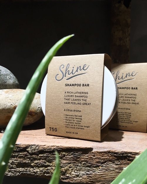 Shine Shampoo Bar; a round tin with a brown cardboard square label reading Shine on it, beside an aloe plant spear.