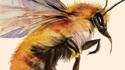 At the Mouth of the River of Bees book cover, cropped. A giant bee.