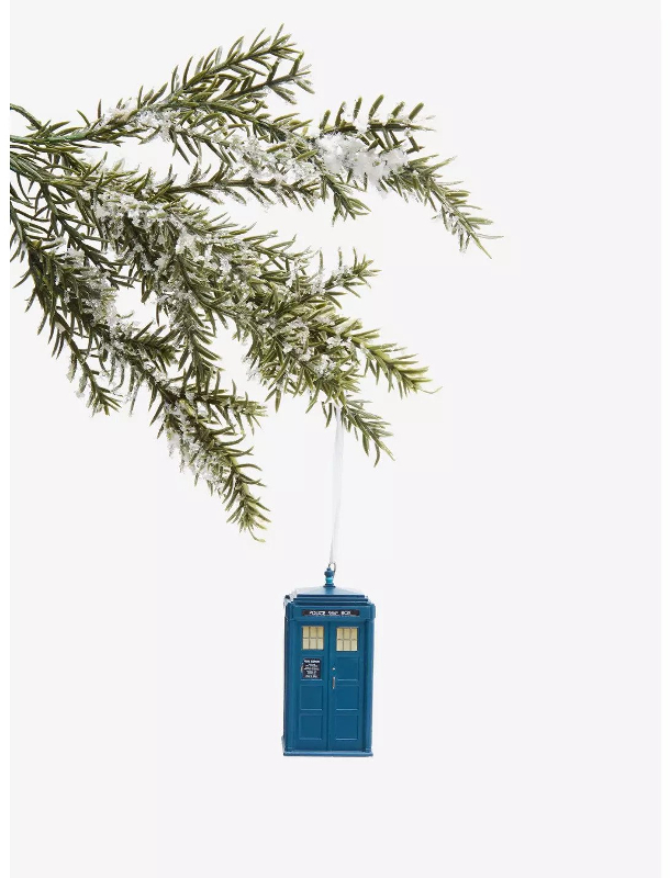 A small blue rectangular box with white windows on the door hangs from a fir tree.