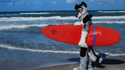 A furry in a fursuit at the ocean