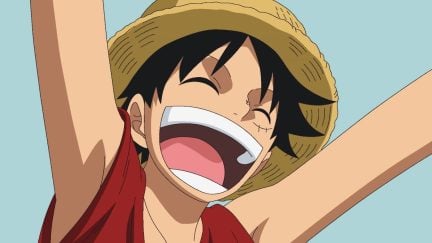 Monkey D Luffy cheering in One Piece.