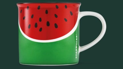 The Starbucks watermelon mug. Is it available now?