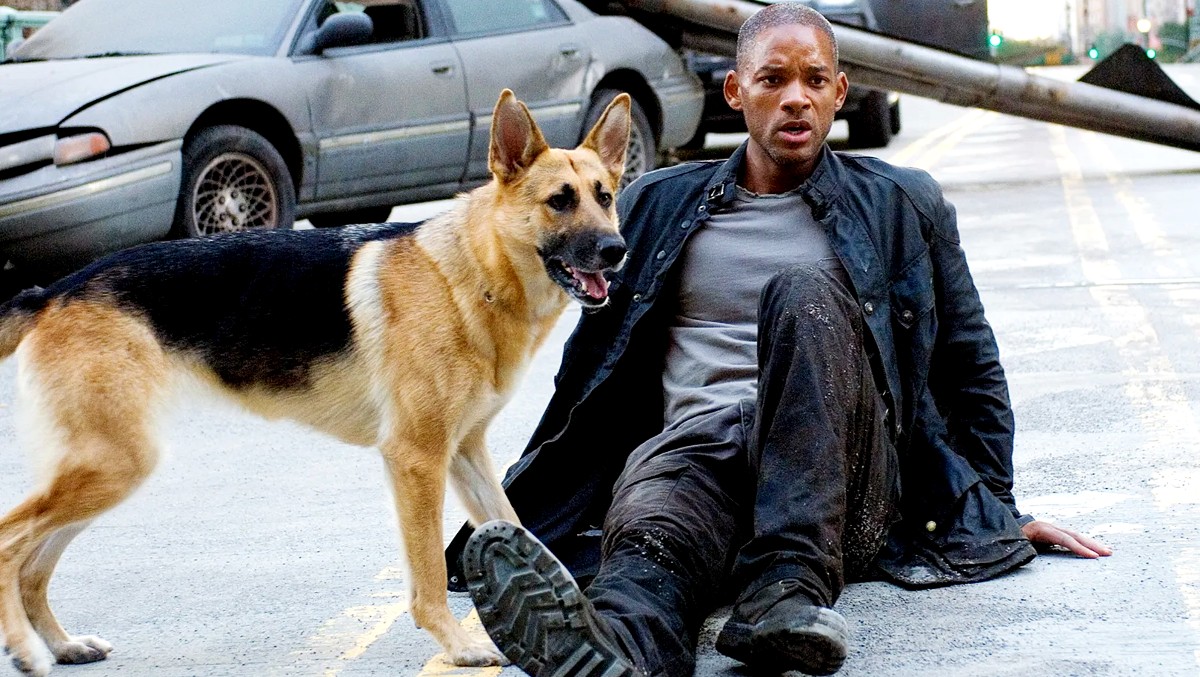 Will Smith as Dr. Robert Neville in I Am Legend