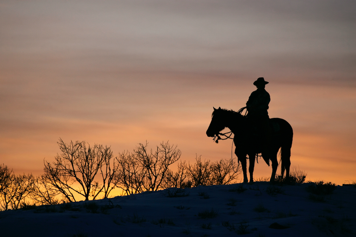 A cowboy on horseback seen in silhouette.