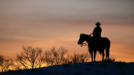 A cowboy on horseback seen in silhouette.