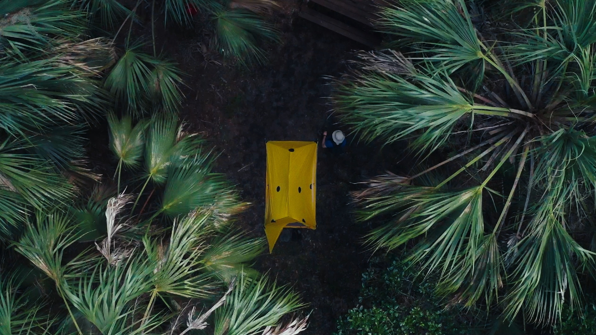 A yellow tent in the middle of the forest in the true crime doc 'They Called Him Mostly Harmless'