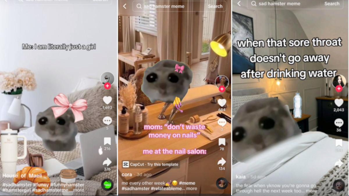 TikToks using the sad hamster meme