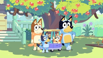 bluey, bingo, chilli and bandit from bluey