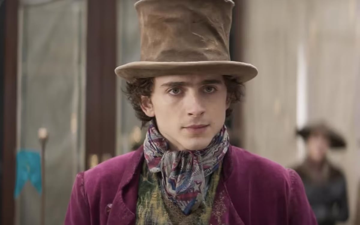 Timothee Chalamet frowns as Willy Wonka.