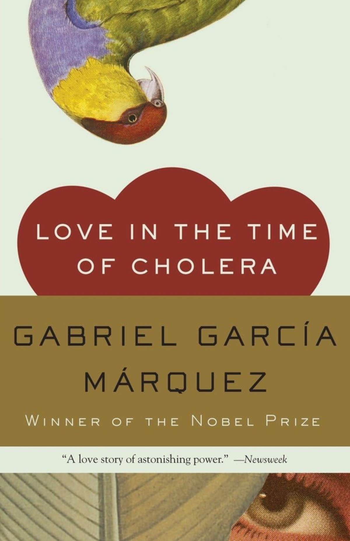 Love in the time of Cholera book cover