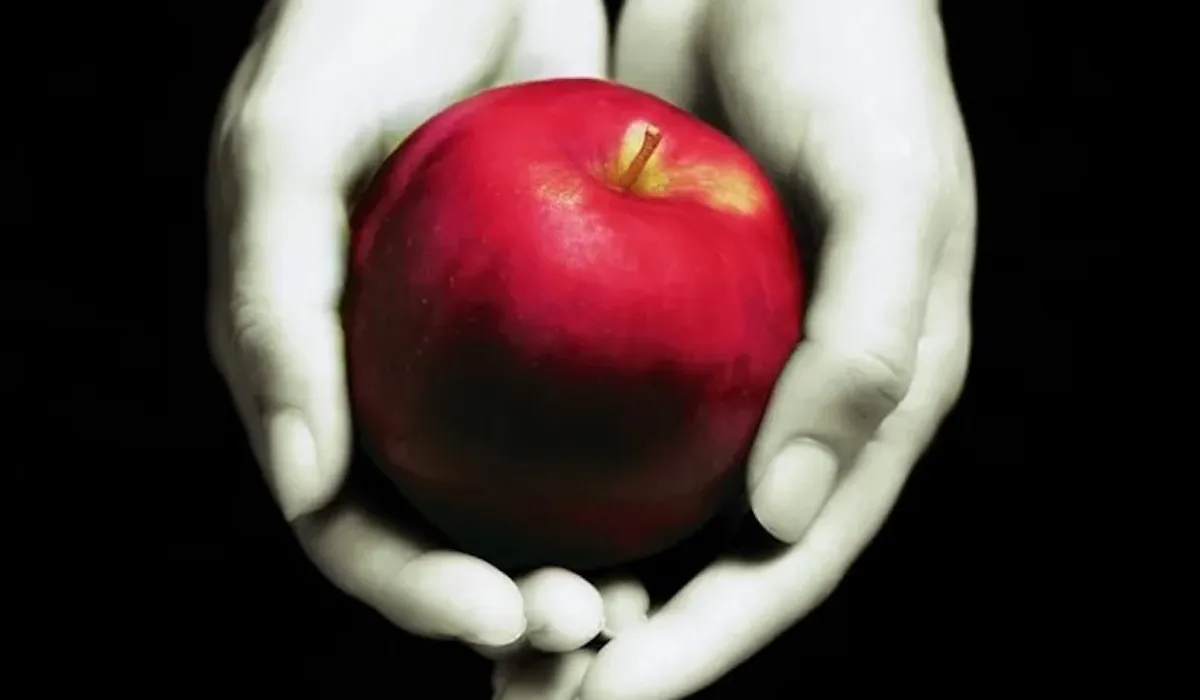 From the cover of Twilight, a woman's hands in black and white hold a bright red apple.