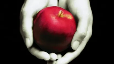 From the cover of Twilight, a woman's hands in black and white hold a bright red apple.