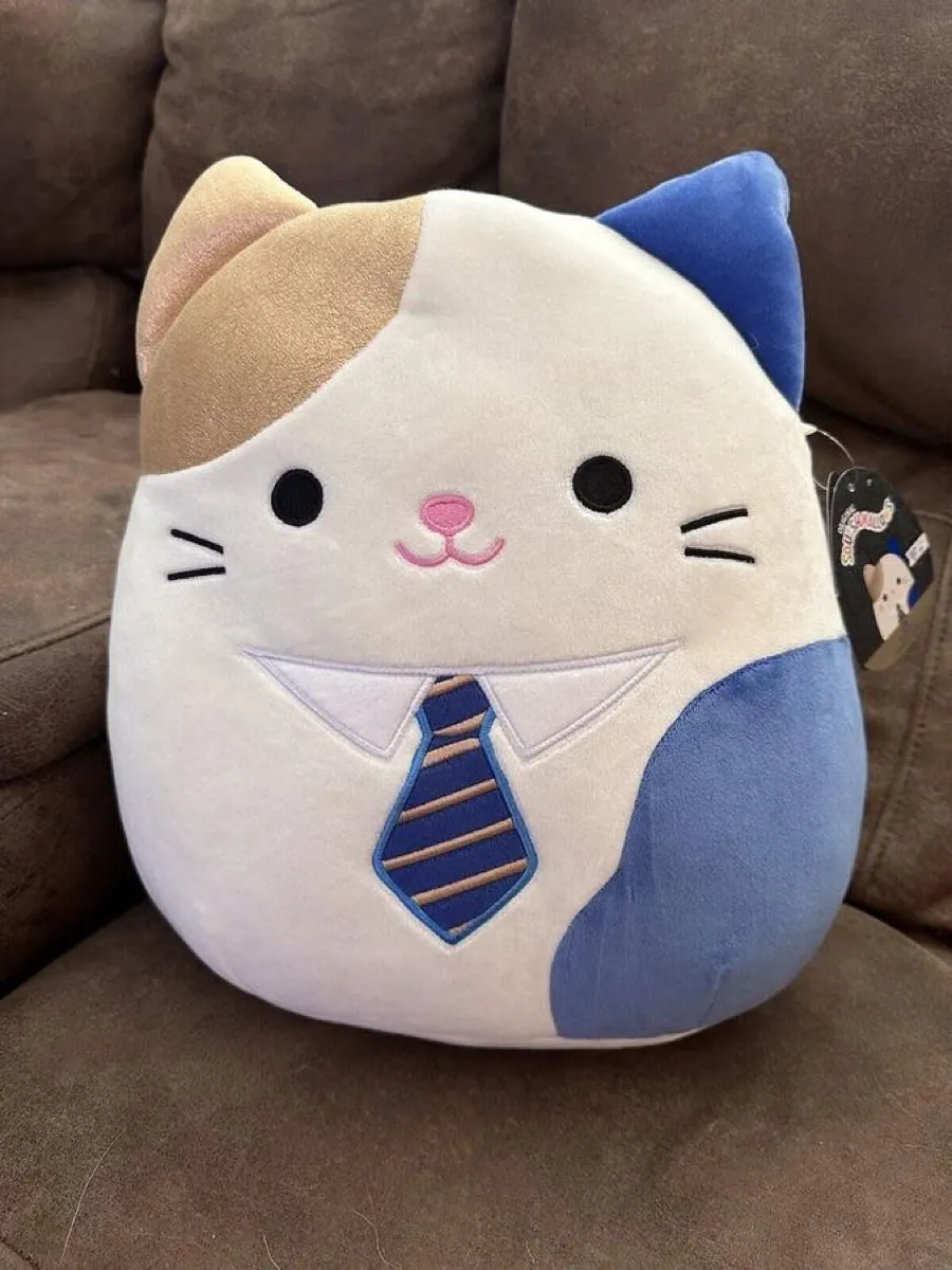 The Ultra Rare Founders Cat from Squishmallows