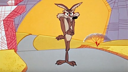 Wile E. Coyote looking pensive