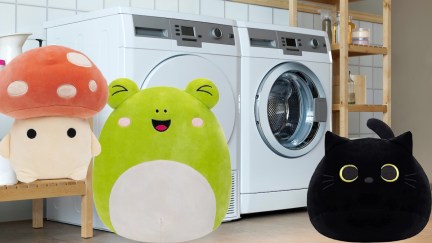 squishmallows imposed over a laundry room.
