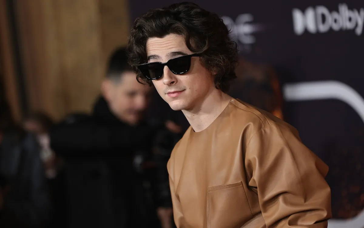 Timothée Chalamet wearing sunglasses at a premiere