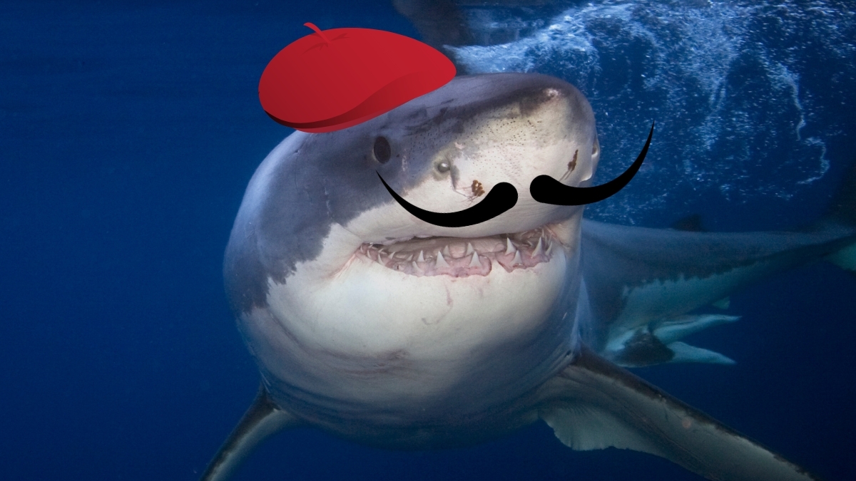 A great white shark wearing a red beret and a moustache because he's French.