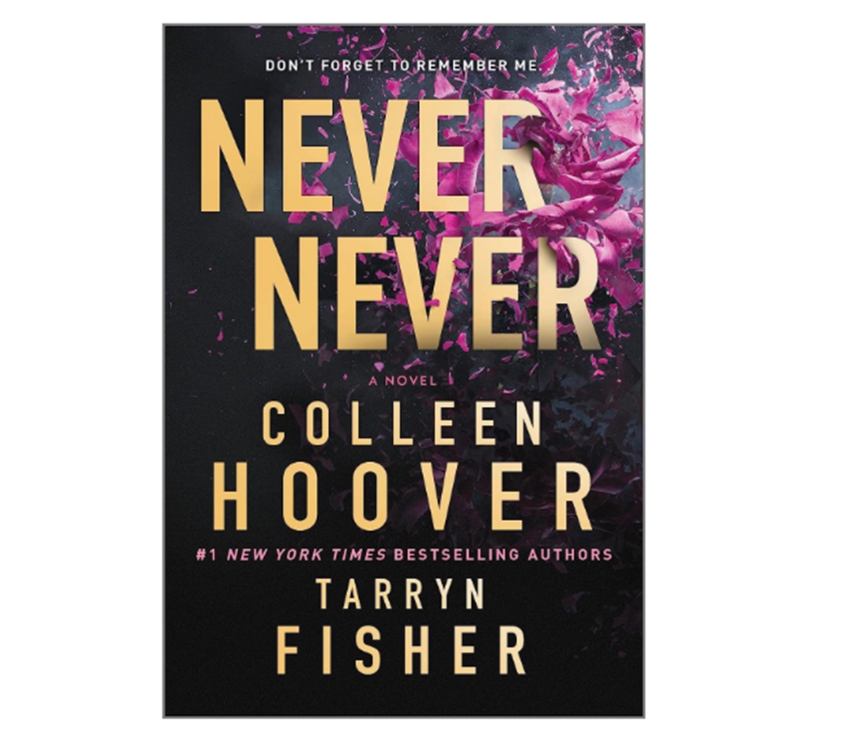 Never Never by Tarryn Fisher and Colleen Hoover