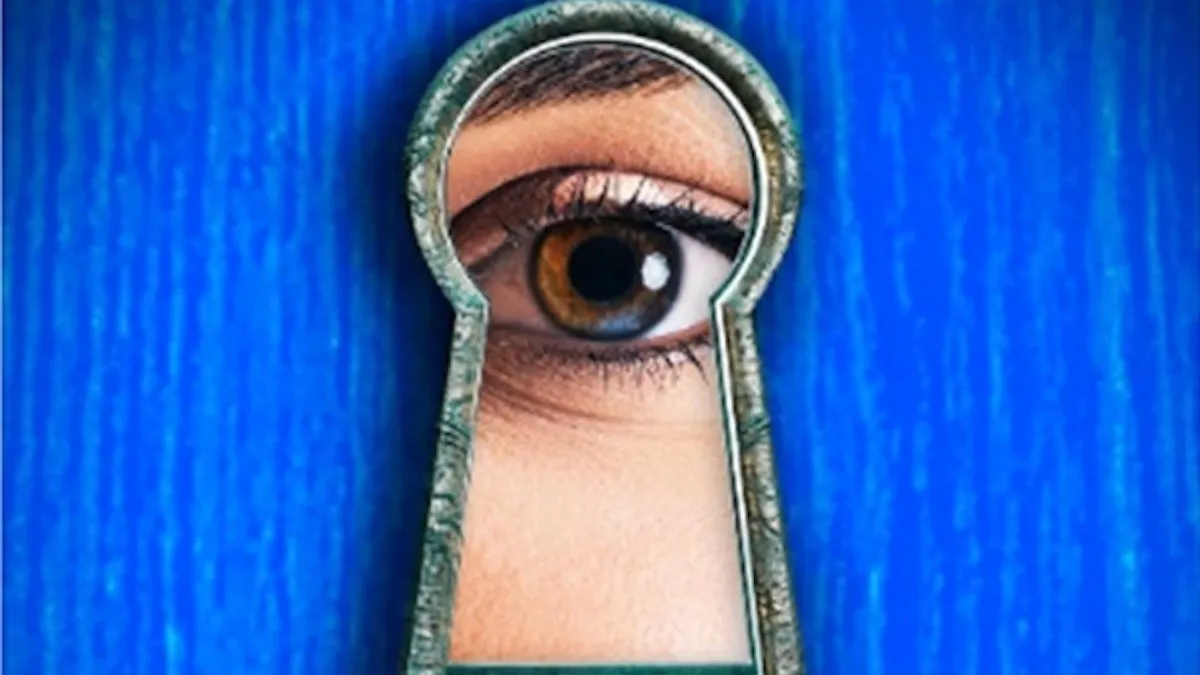 The Housemaid book cover, an eye seen through a keyhole