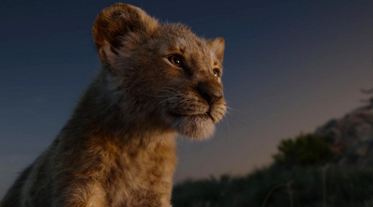 Simba the lion cub in The Lion King (2019)