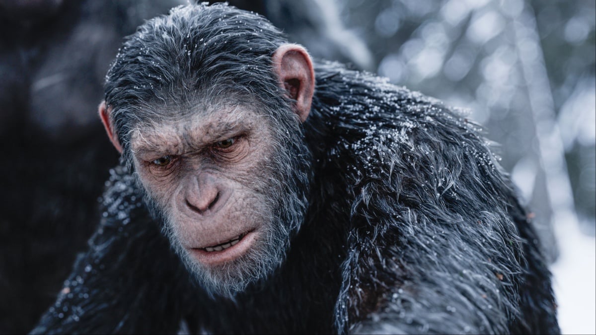 Caesar the Ape in 'War for the Planet of the Apes'.