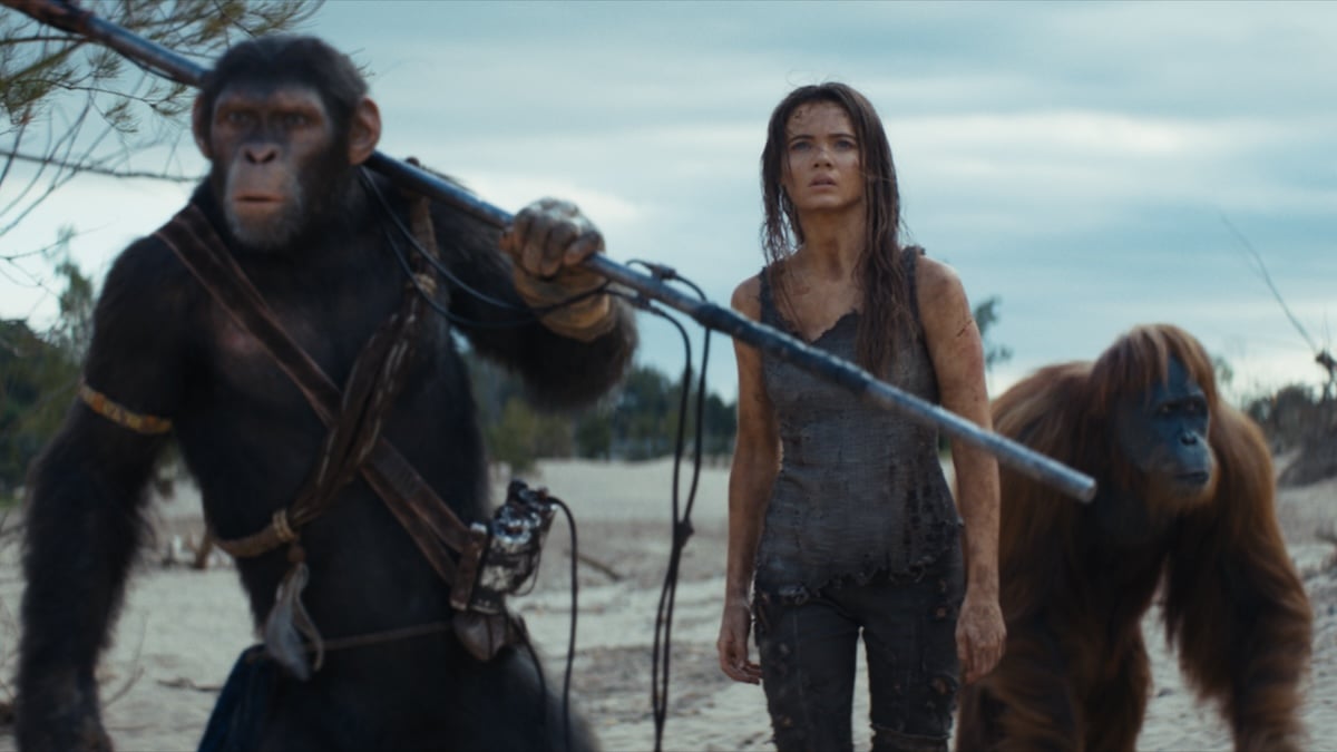 two apes and a woman standing on a beach in kingdom of the planet of the apes