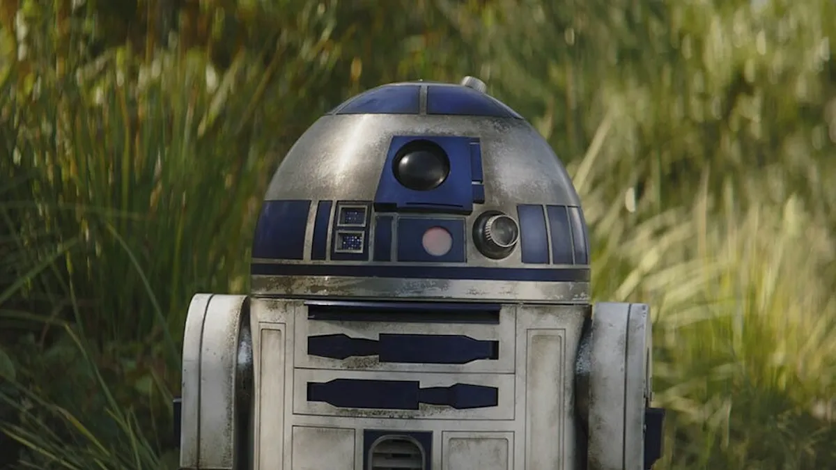 r2-d2 standing (rolling?) in front of some trees