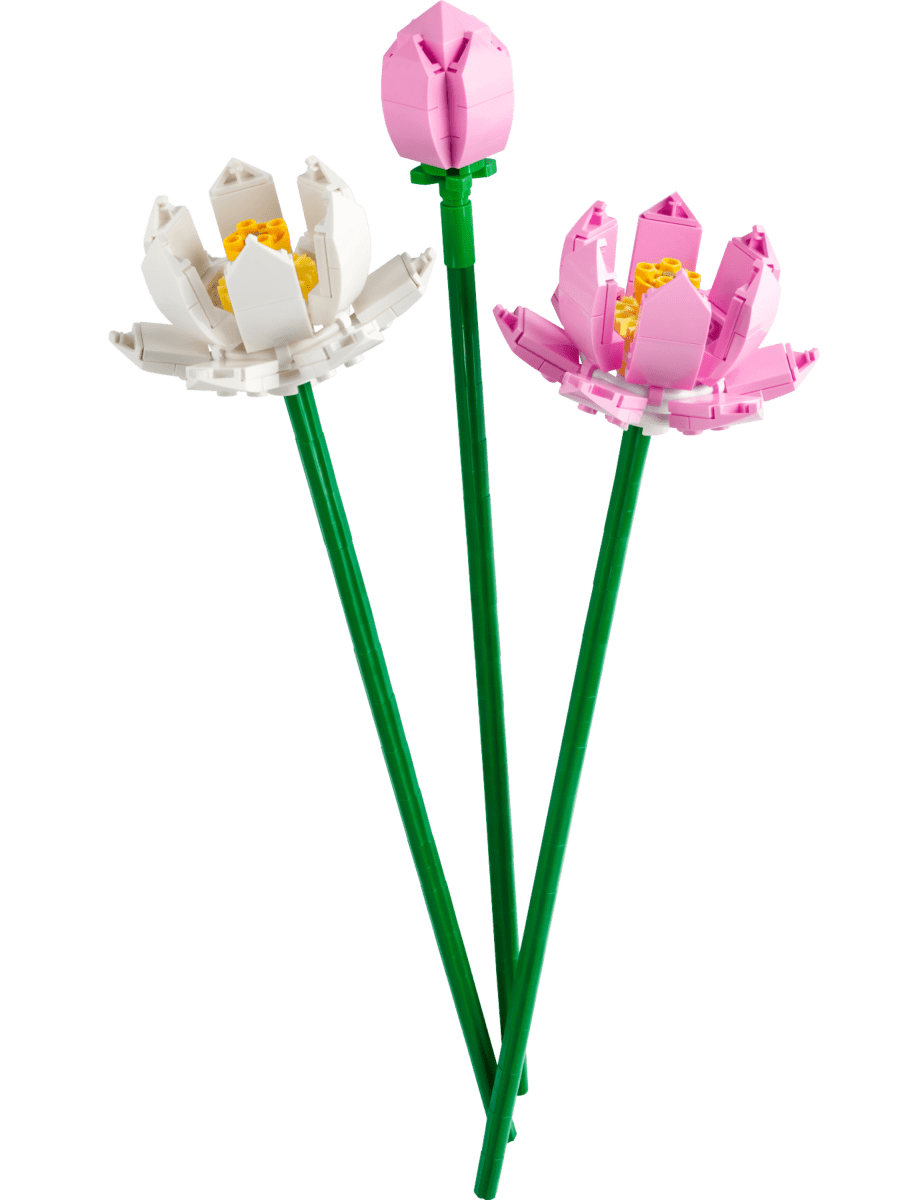 LEGO Lotuses set