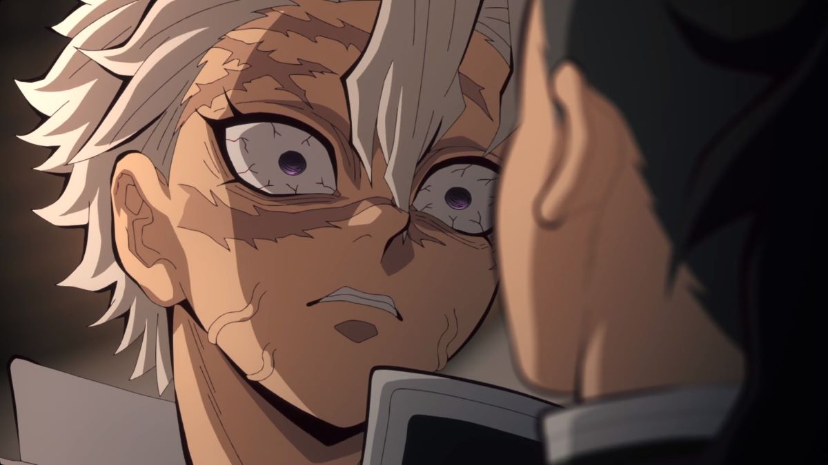 Demon Slayer Hashira Training Arc The Mary Sue