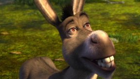 Eddie Murphy Donkey Movie Release Window, Cast, and More | The Mary Sue