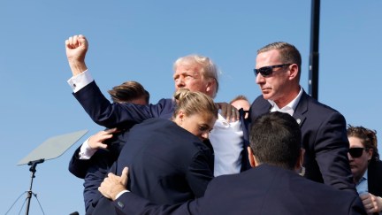 donald trump fist in air