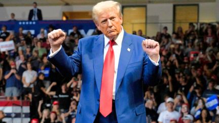 PRESCOTT VALLEY, ARIZONA - OCTOBER 13: U.S. Republican presidential nominee, former President Donald Trump dances during a campaign rally at Findlay Toyota Center on October 13, 2024 in Prescott Valley, Arizona. With leaders of the Border Patrol union in attendance, Trump pledged to hire 10,000 additional border patrol agents if reelected, intensifying his attacks on Democratic opponent Kamala Harris on the issue. (Photo by Rebecca Noble/Getty Images)