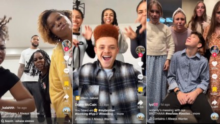 Screenshots of TikTok users partaking in the Mufasa 