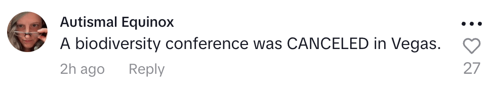 Screenshot of comments on Dr. Bonnie Groff's TikTok video