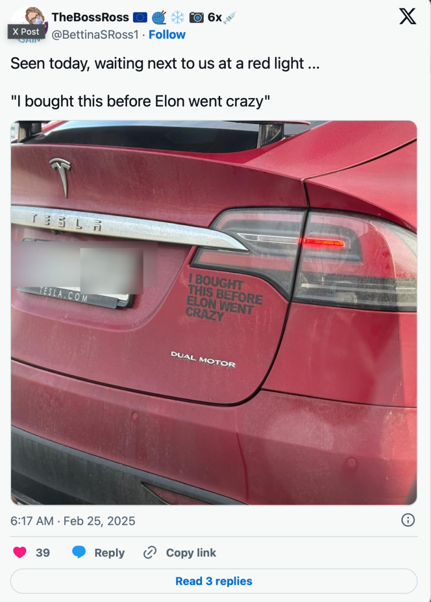 X post of Tesla bumper sticker reading "I bought this before Elon Musk went crazy"