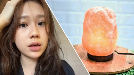 ‘You might as well own a...pet’: Woman warns against owning a Himalayan