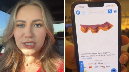 Woman compares bacon served at restaurant(l) Mobile Phone with Dog Treat on Display(r)
