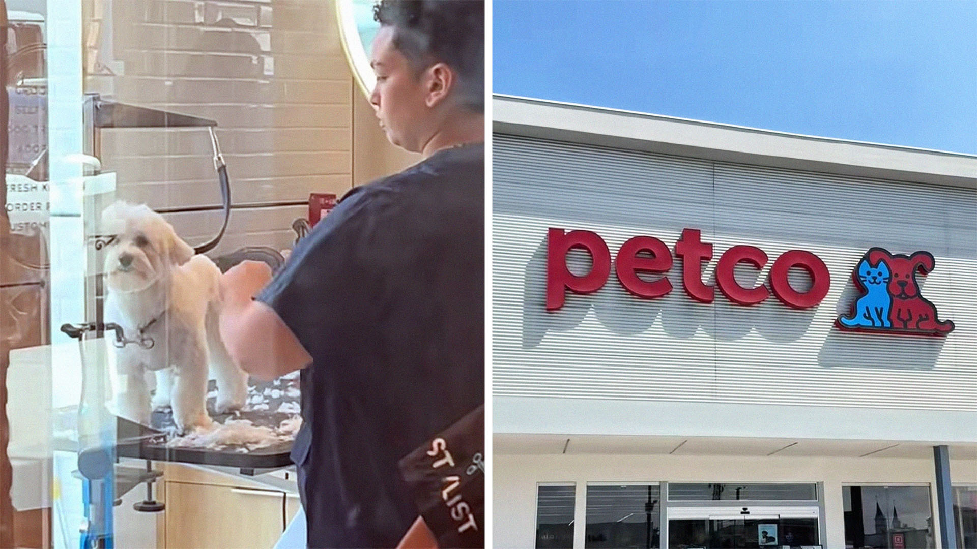 Petco worker grooming dog(l) Petco Store Front(r)