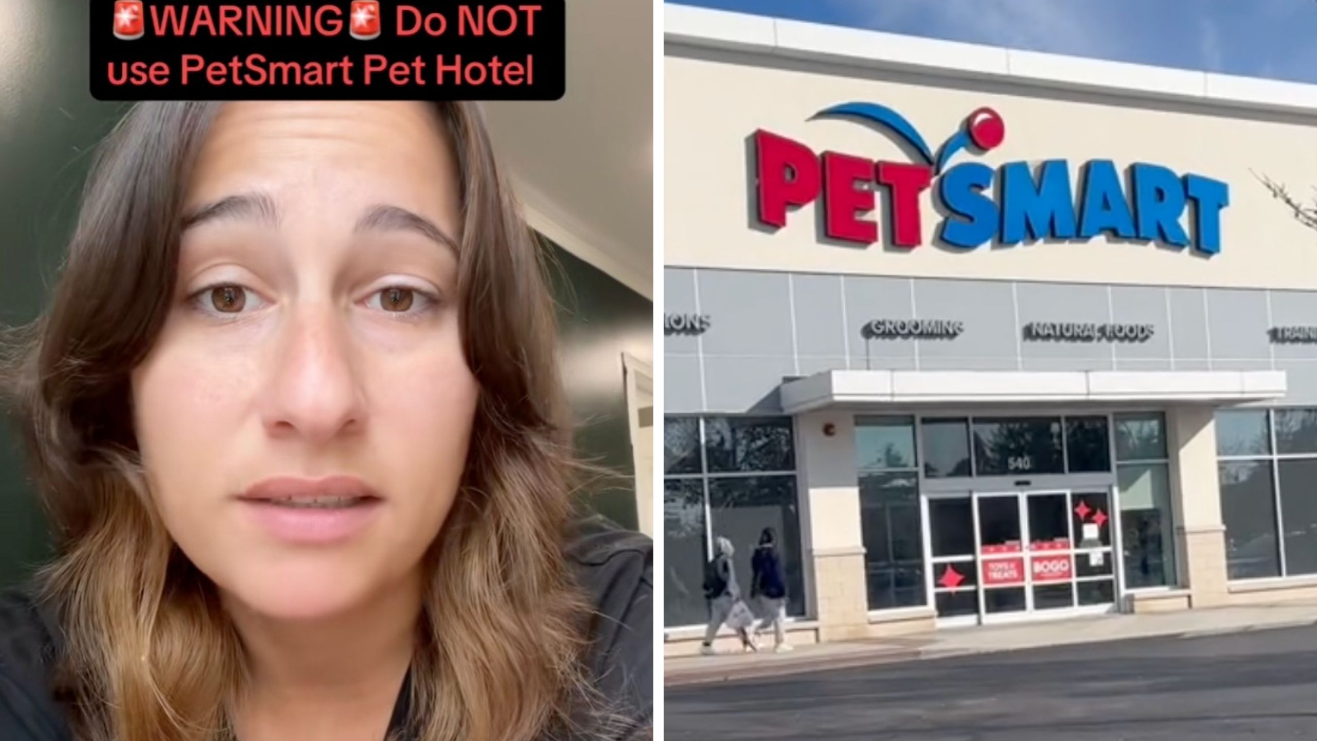 ‘That’s absolutely terrifying’: Woman books PetSmart pet hotel. Then her dog comes back covered in blood ‘That’s absolutely terrifying’: Woman books PetSmart pet hotel. Then her dog comes back covered in blood