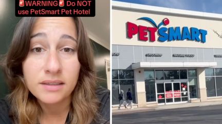 woman shares how her dog was returned from petsmart hotel (l) petsmart logo (r)