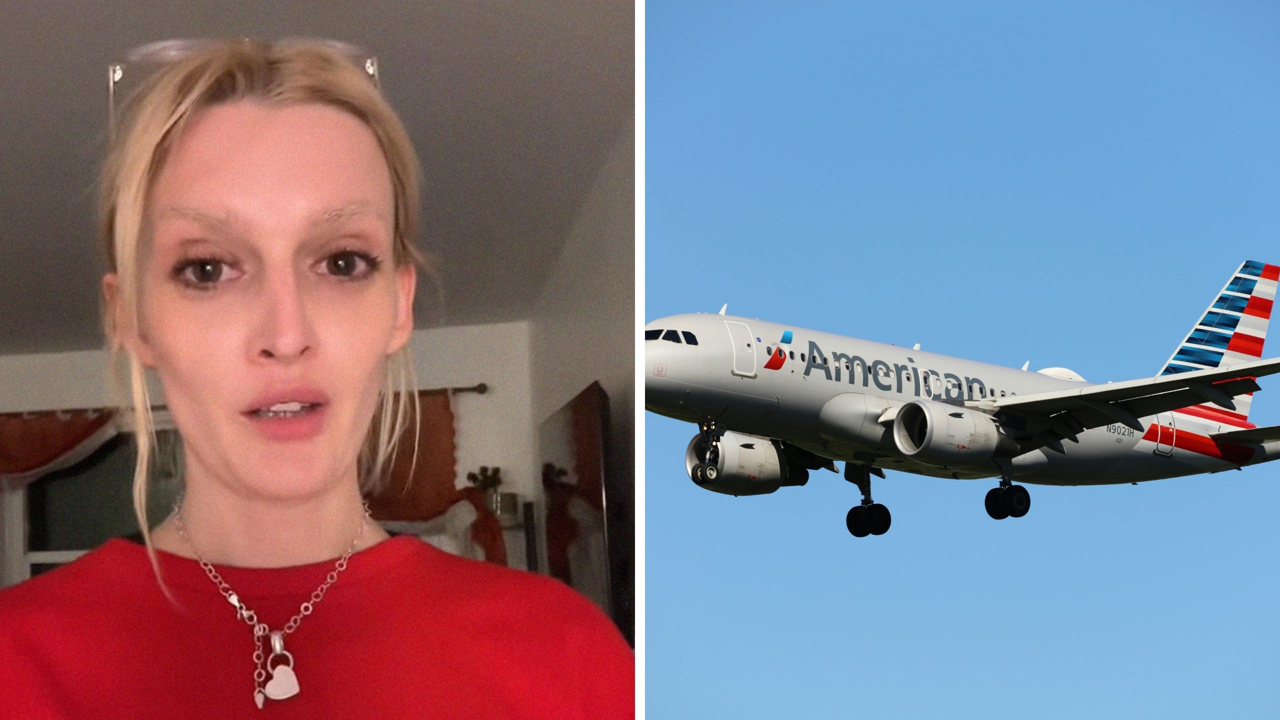 ‘You’re going to have to ask a stranger’: American Airlines passenger travels to New York. Then flight attendants refuse to help her put luggage in overhead bin ‘You’re going to have to ask a stranger’: American Airlines passenger travels to New York. Then flight attendants refuse to help her put luggage in overhead bin