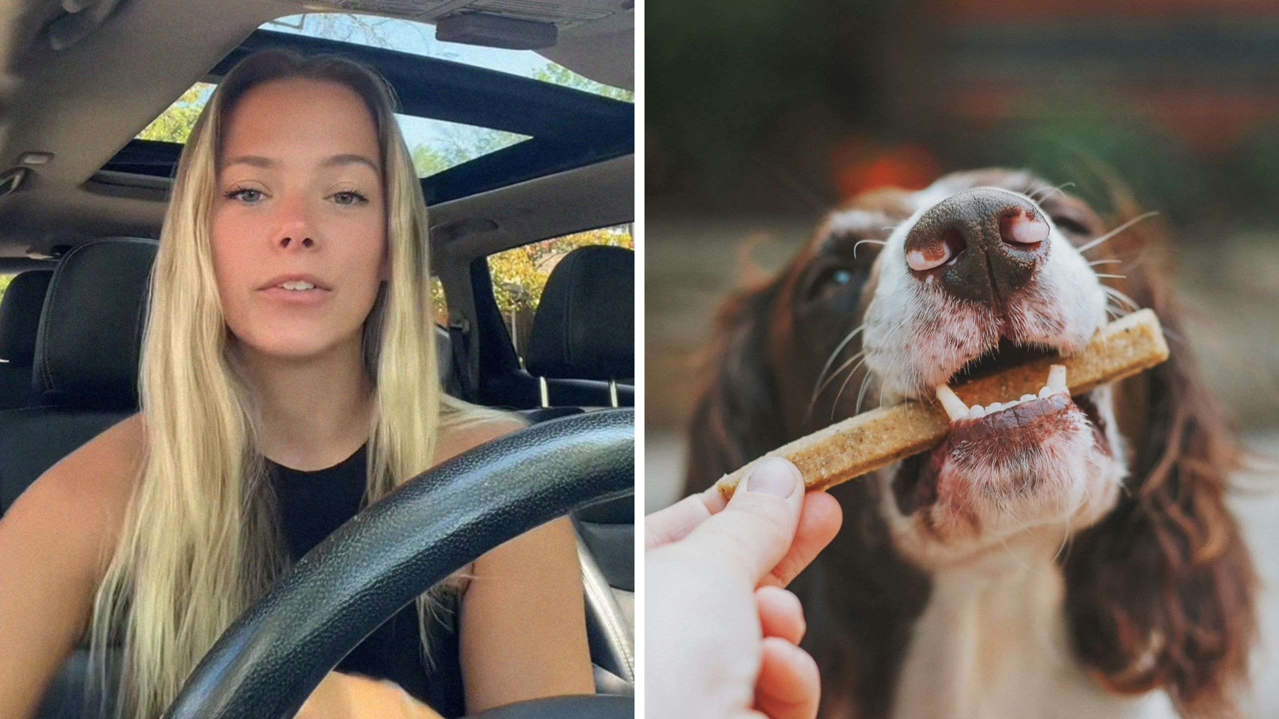 woman shares dog walking experience (l) dog eating a treat (r)