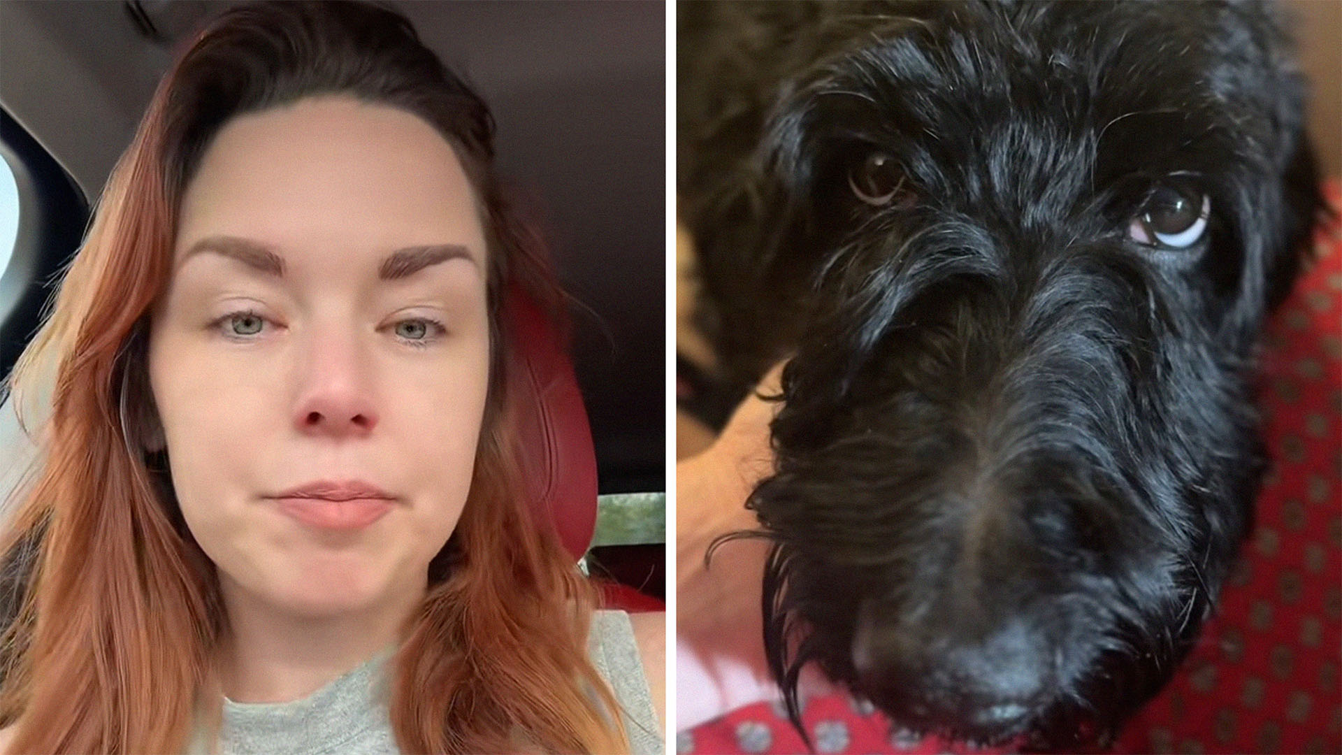 woman sharing dog food information (l) dog food (r)