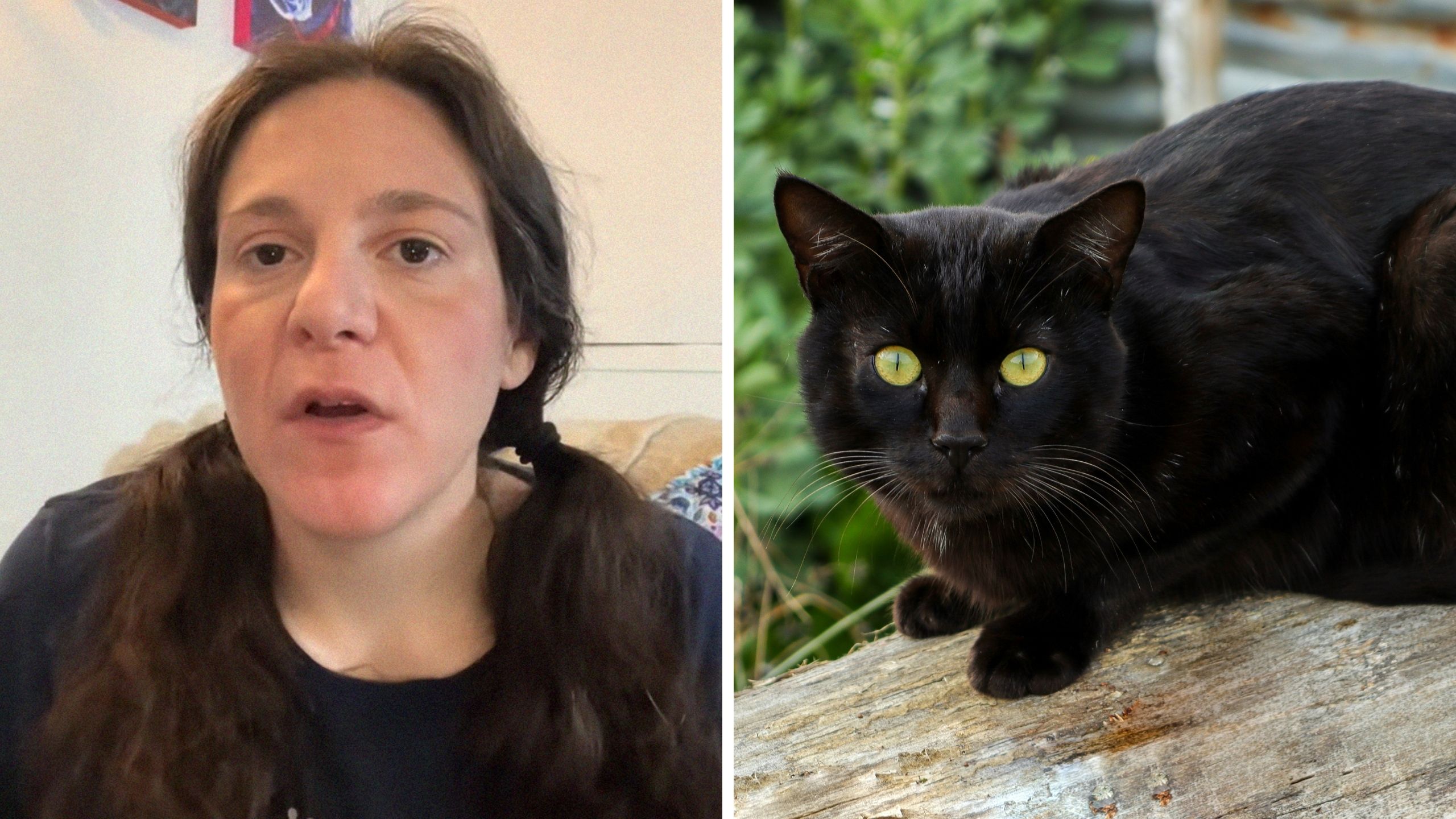 woman shares cat experience (l) black cat (r)