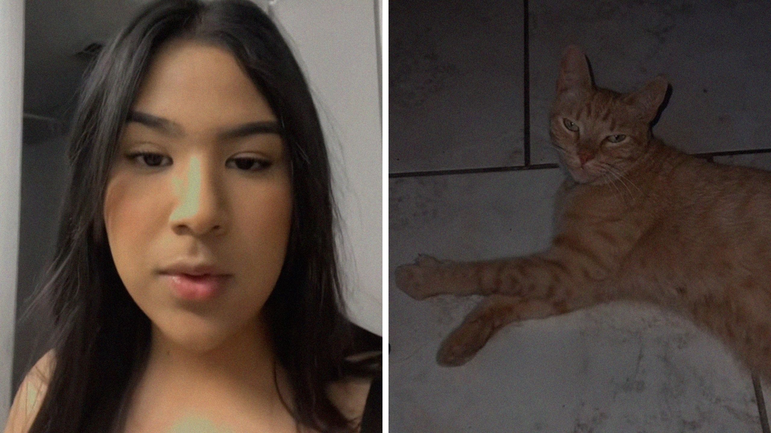 woman shares her cat story (l) cat (r)