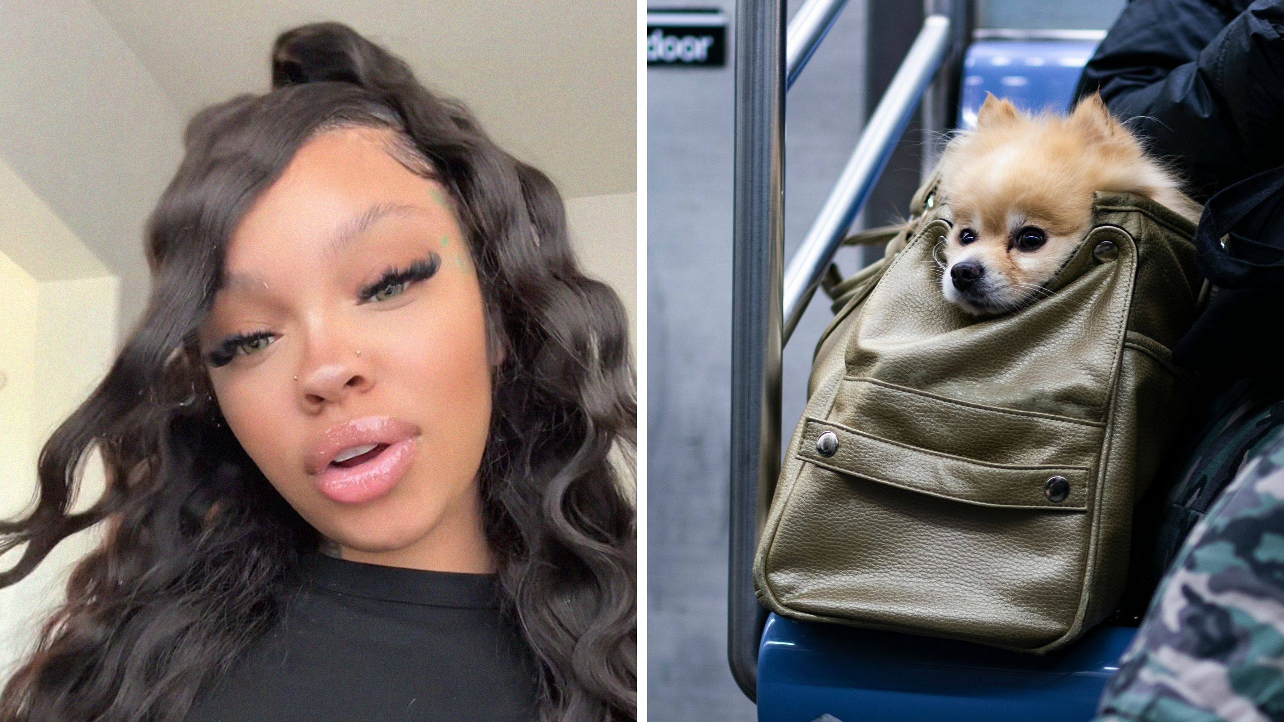woman shares how to fly with your pet (l) puppy in bag (r)