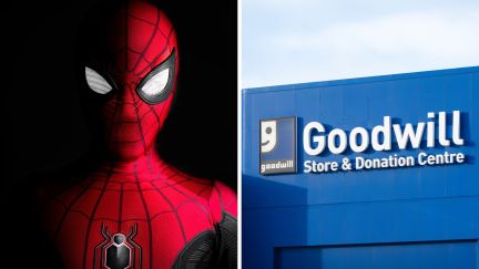 spiderman (l) goodwill (r)