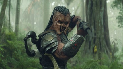 predator in the jungle